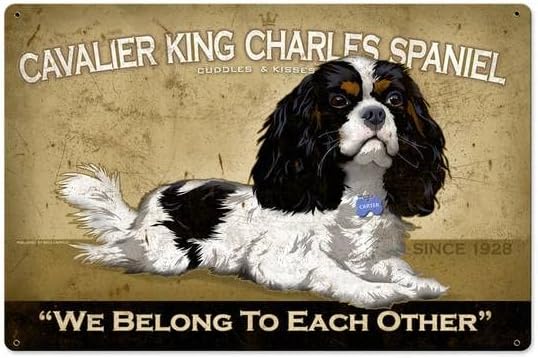Home Decor Shop - Retro Metalowy Znak Blaszany Cavalier King