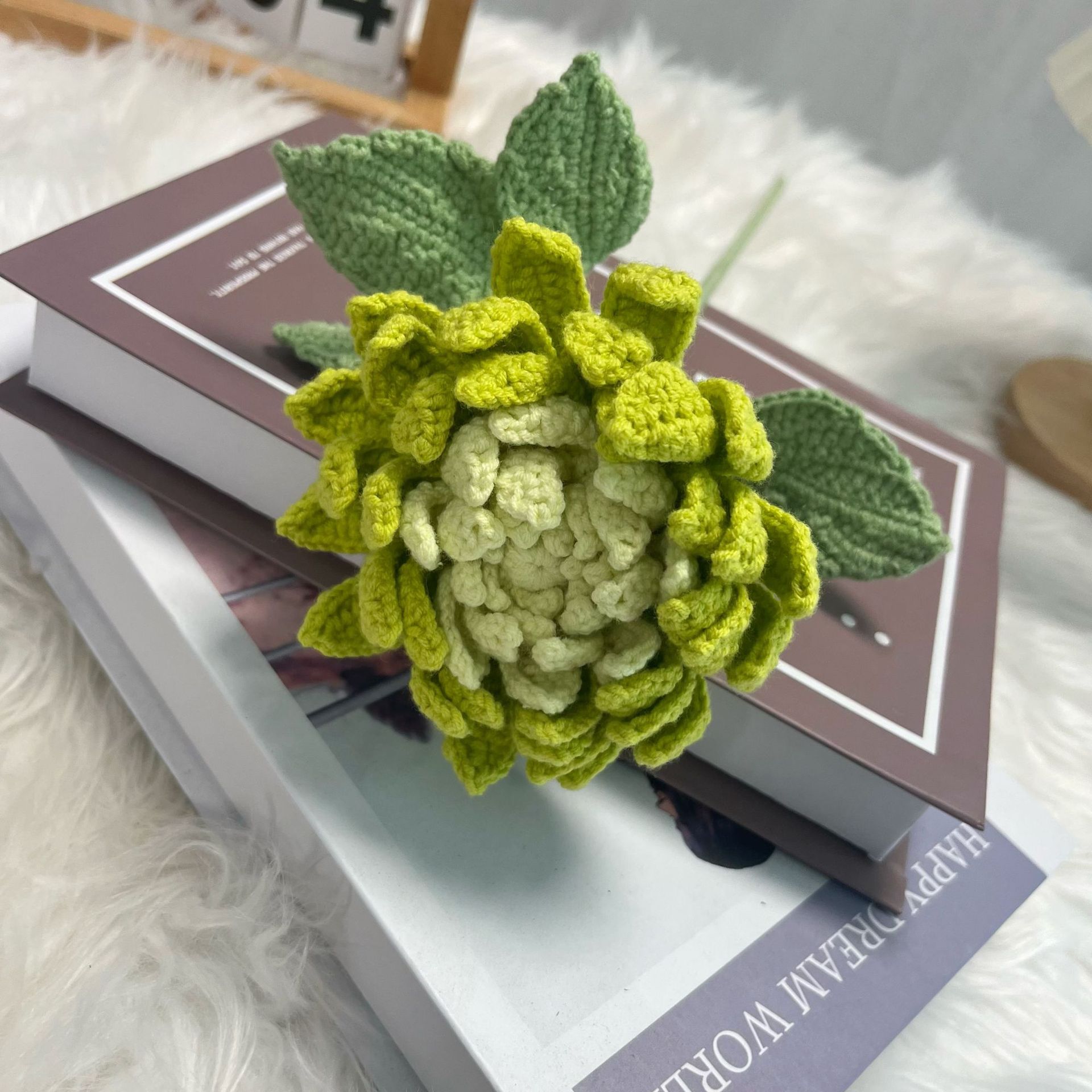 Gotowe produkty z dali, ręczni – Yarn Home Decor recenzja i cena